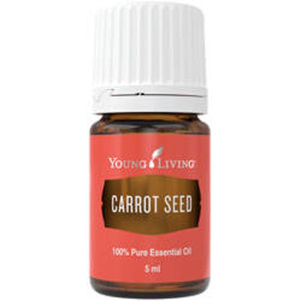Carrot seed