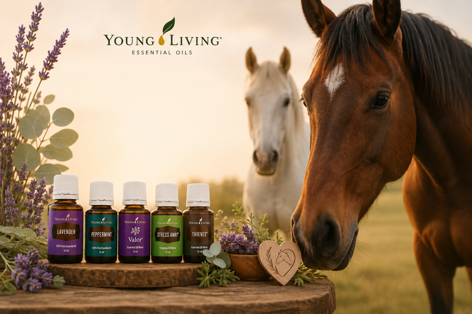Essentiële oliën voor paarden vanaf de basis