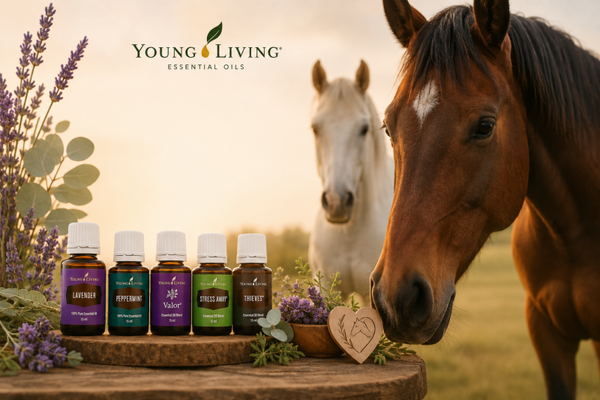 Essentiële oliën voor paarden vanaf de basis