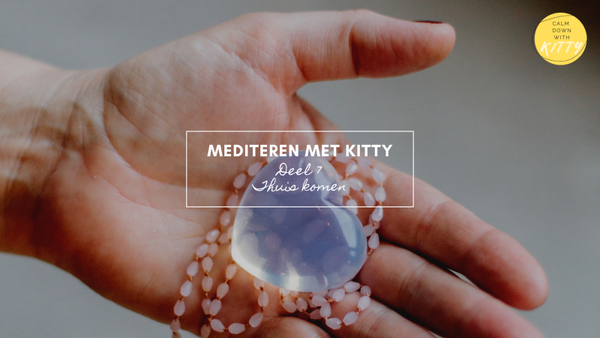 Thuiskomen in bundel