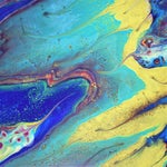 Stingray3-1.jpg