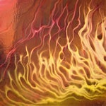 Firebird4-1.jpg