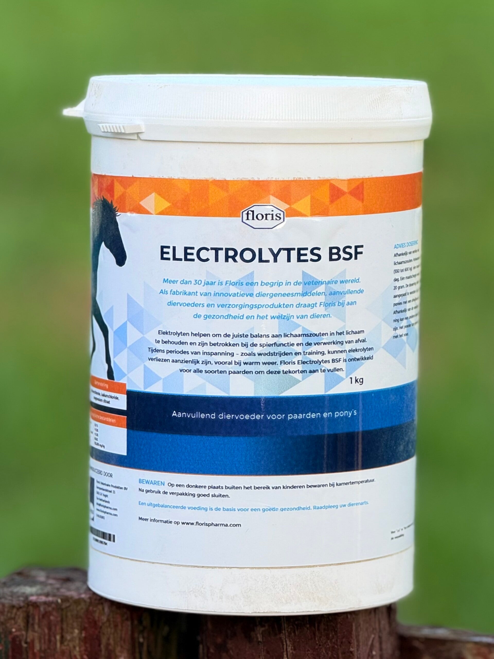 Electrolytes bsf (basic sugar free)