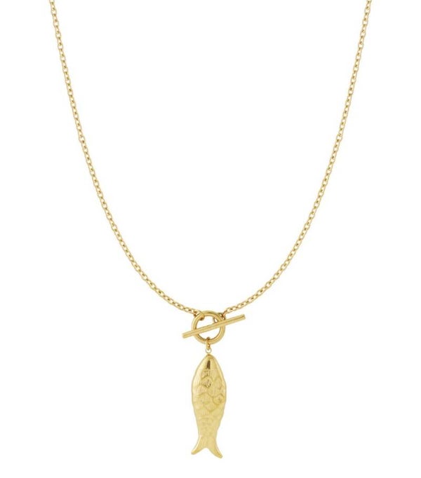 Lange ketting vis