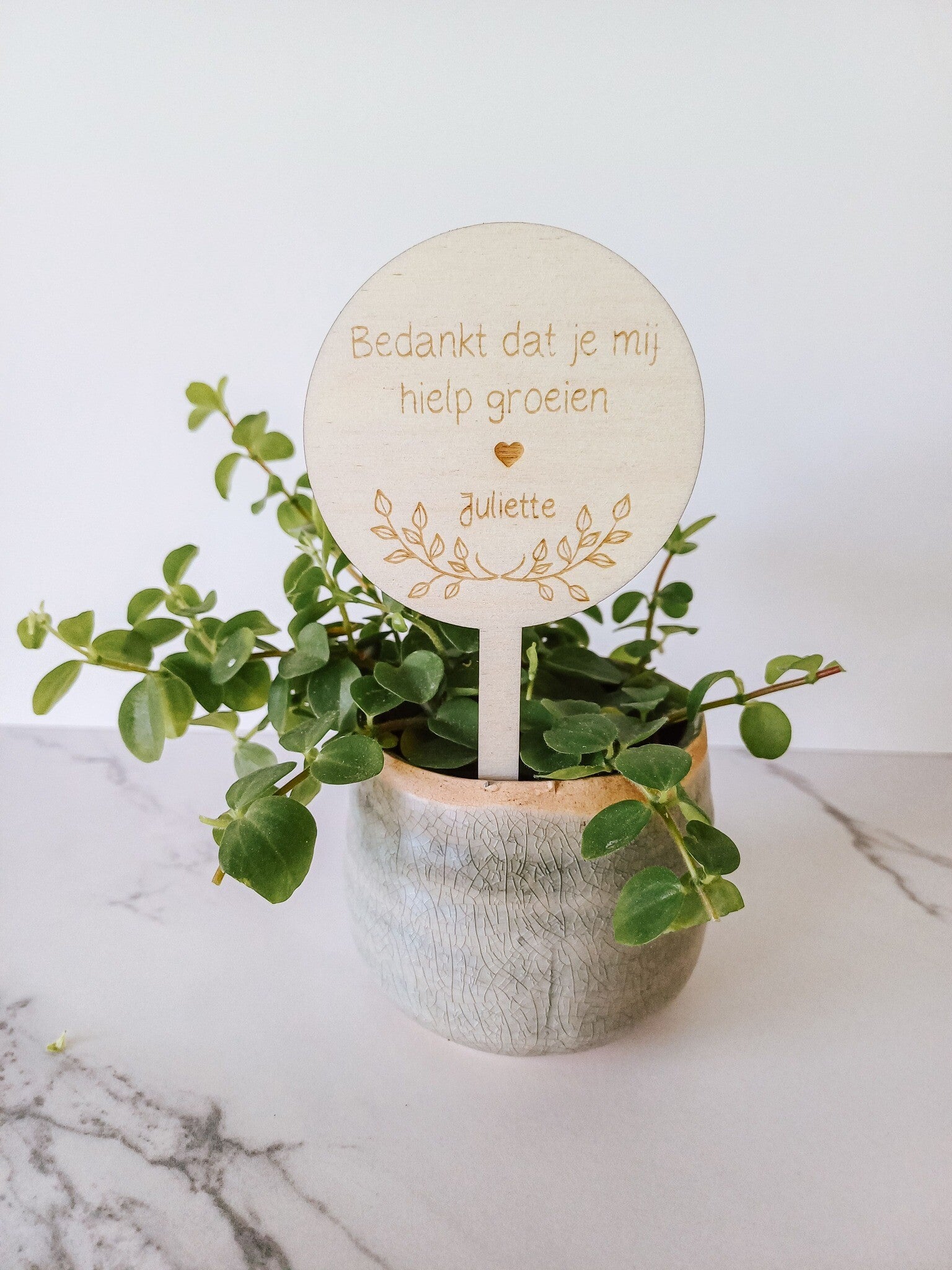 Gepersonaliseerde plantensteker