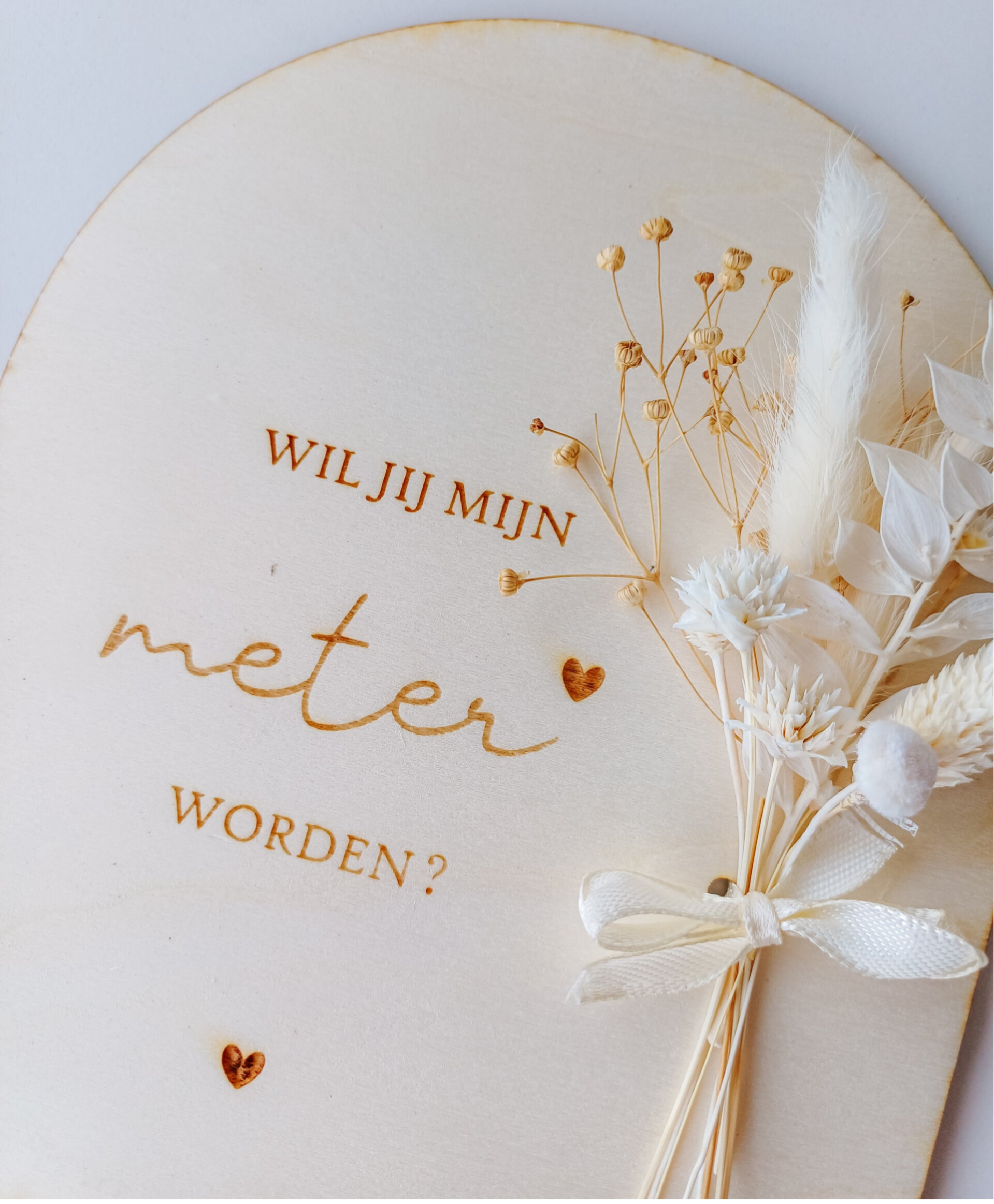 Wil jij mijn meter worden? | Houten bordje