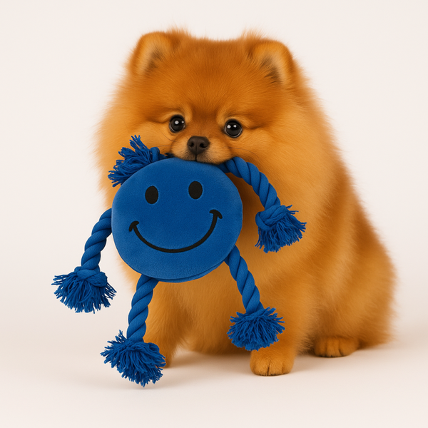HAPPY PET HAPPY FACES PLUCHE SMILEY BLAUW 29X26X8 CM