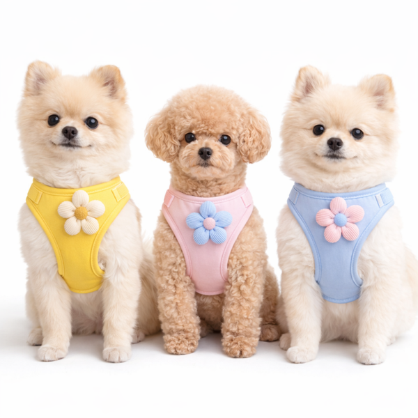 SUMMER Harness — Complete set met Lijn