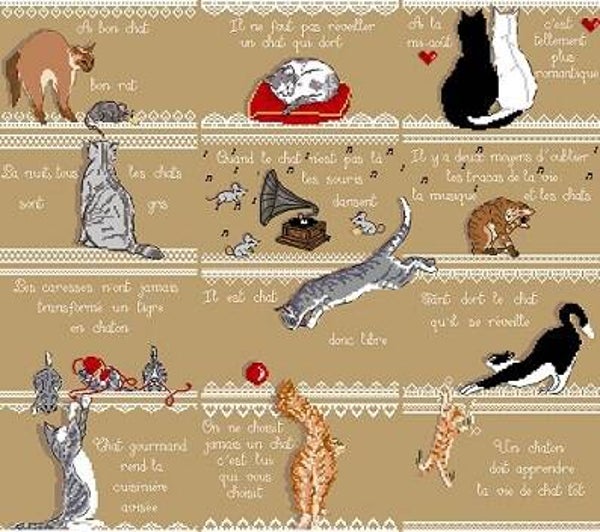 Le temps des chats
