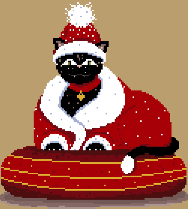 Le chat "Pacha" à Noël