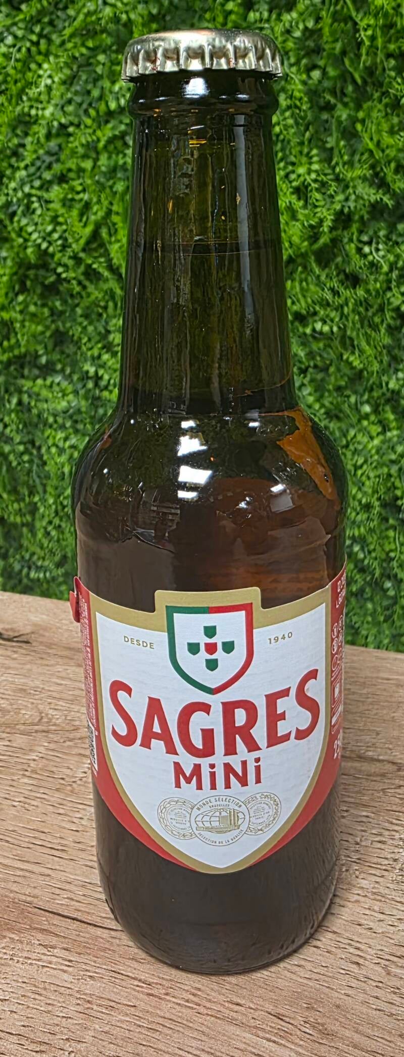 sagres-standard-ipezch.jpg