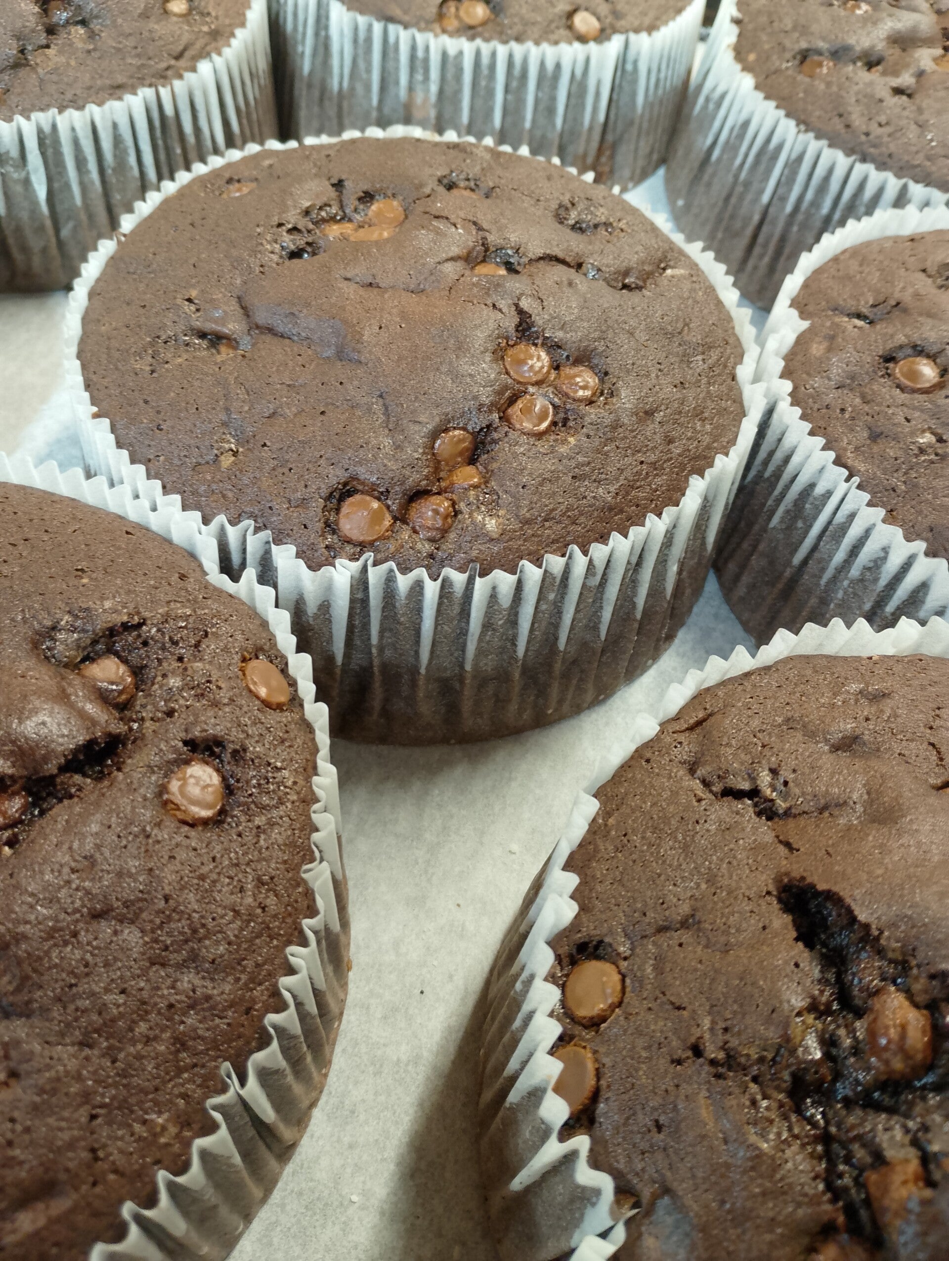 PLAIN ROUND  6"  CHOCOLATE CHIP  SPONGE CAKE