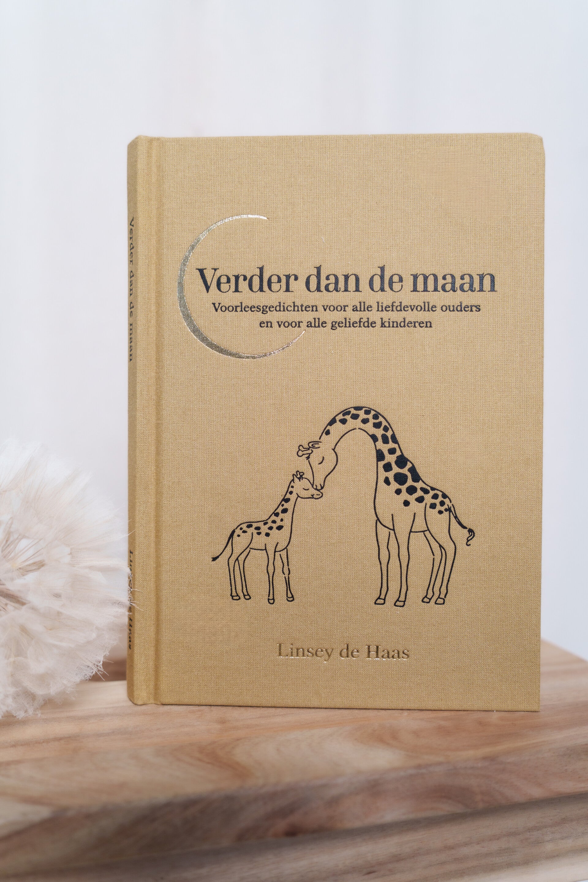 Voorleesboek Verder dan de maan
