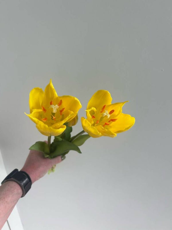 Tulpen bosje geel