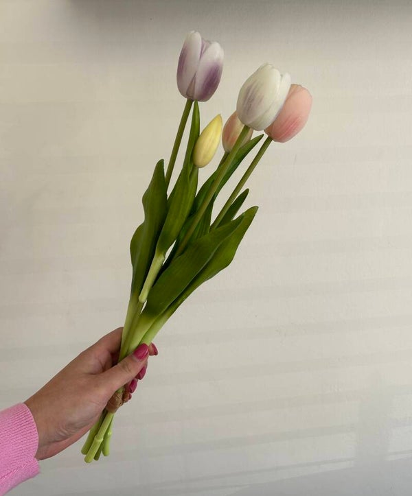 Tulpen pastel