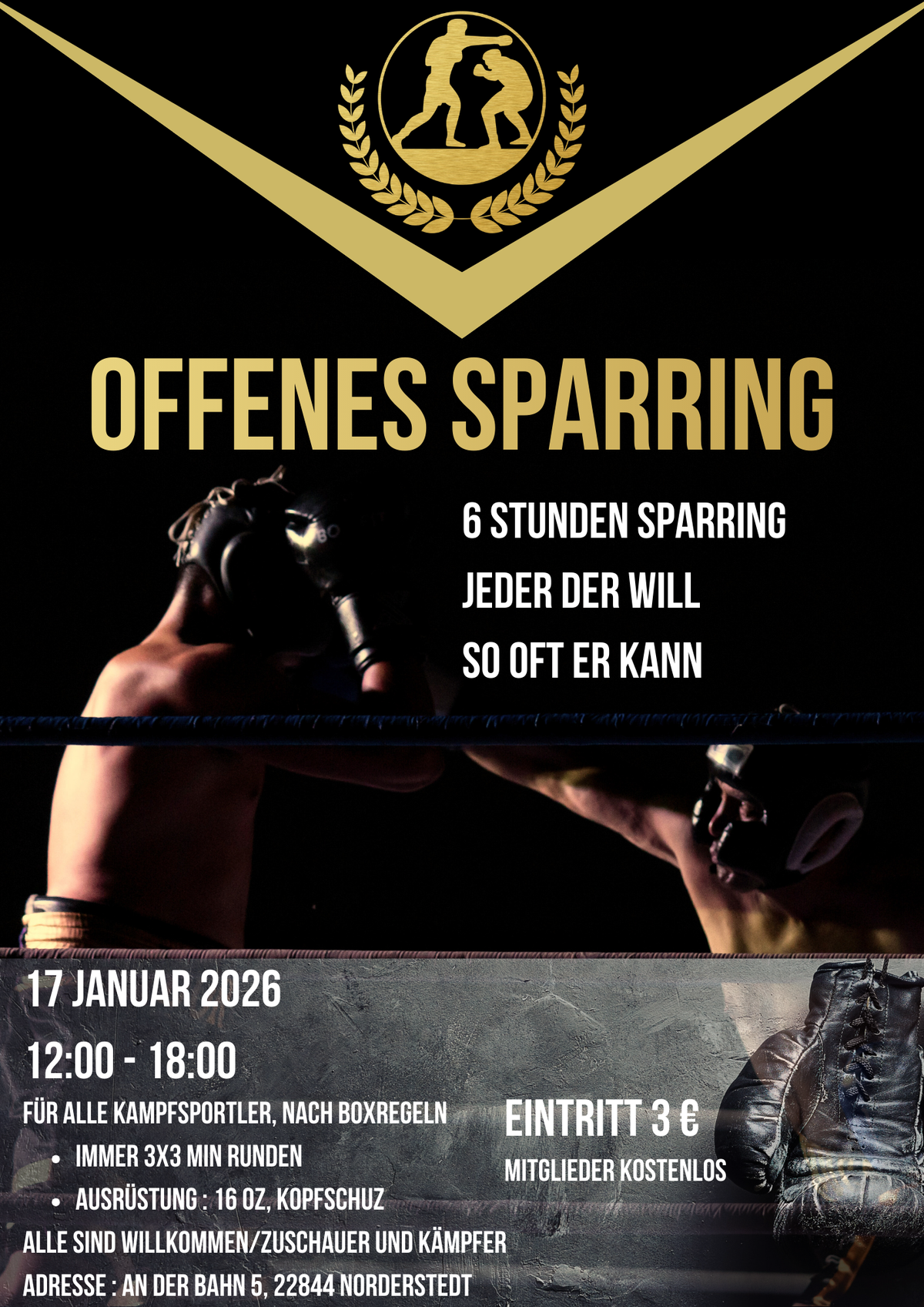 Offenes Sparring | Box Sport Zentrum Norderstedt
