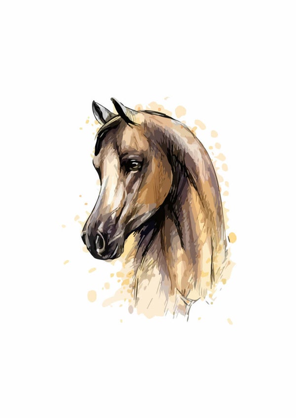 Muursticker Paardenkop 0,85 x 1,17