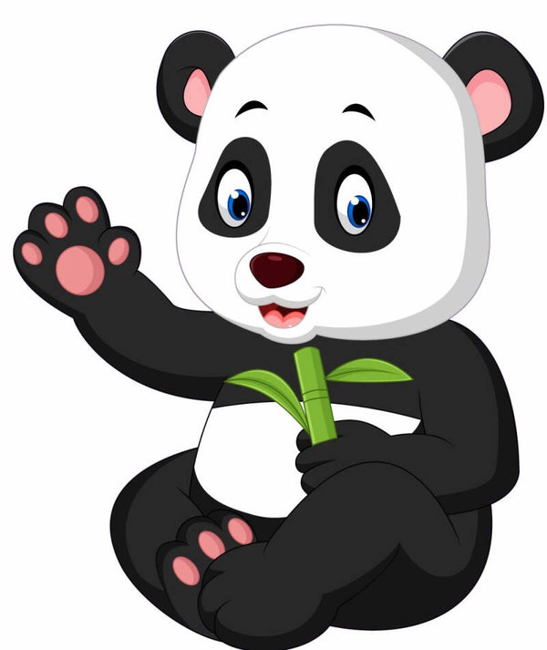 Panda 67 x 80 cm