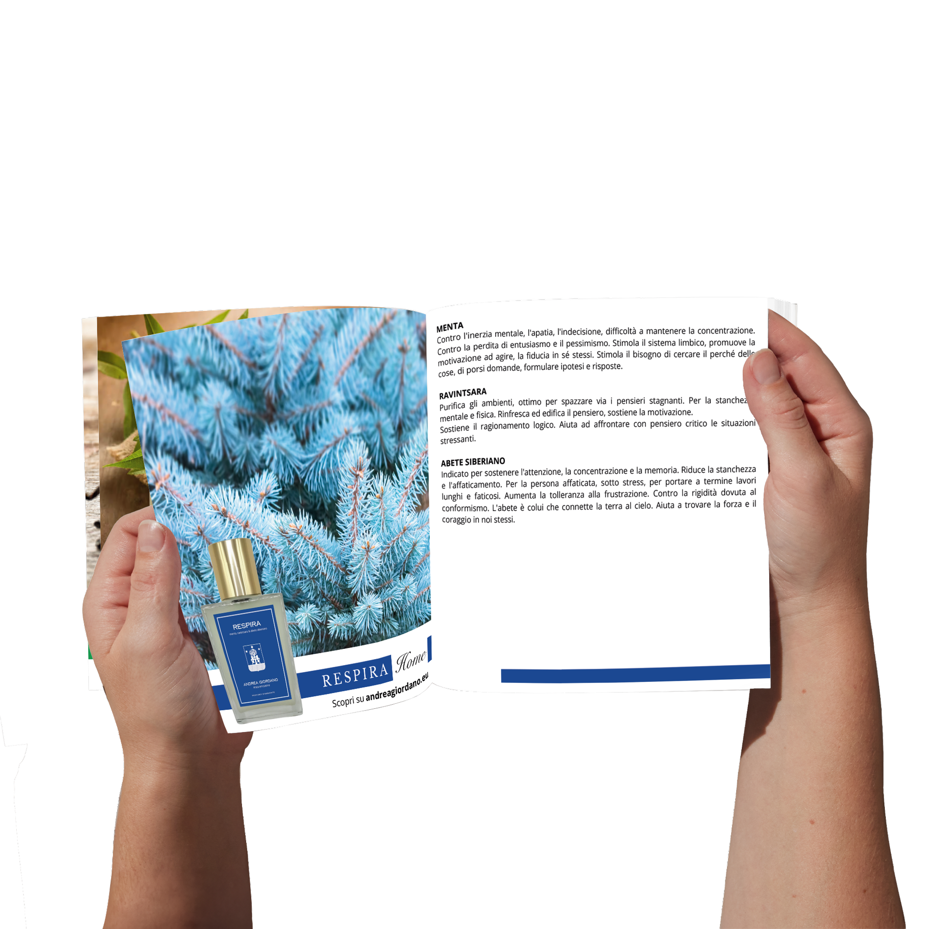 Libro Andrea Giordano