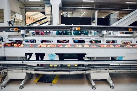 Technisch onderhoud en optimalisatie van productielijnen in de voedingsmiddelenindustrie – hygiënisch en efficiënt