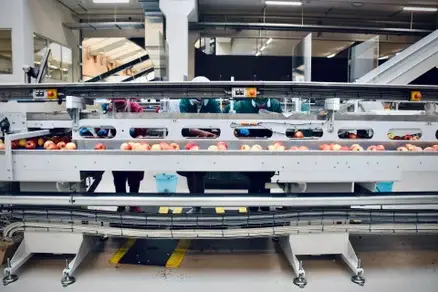 Technisch onderhoud en optimalisatie van productielijnen in de voedingsmiddelenindustrie – hygiënisch en efficiënt