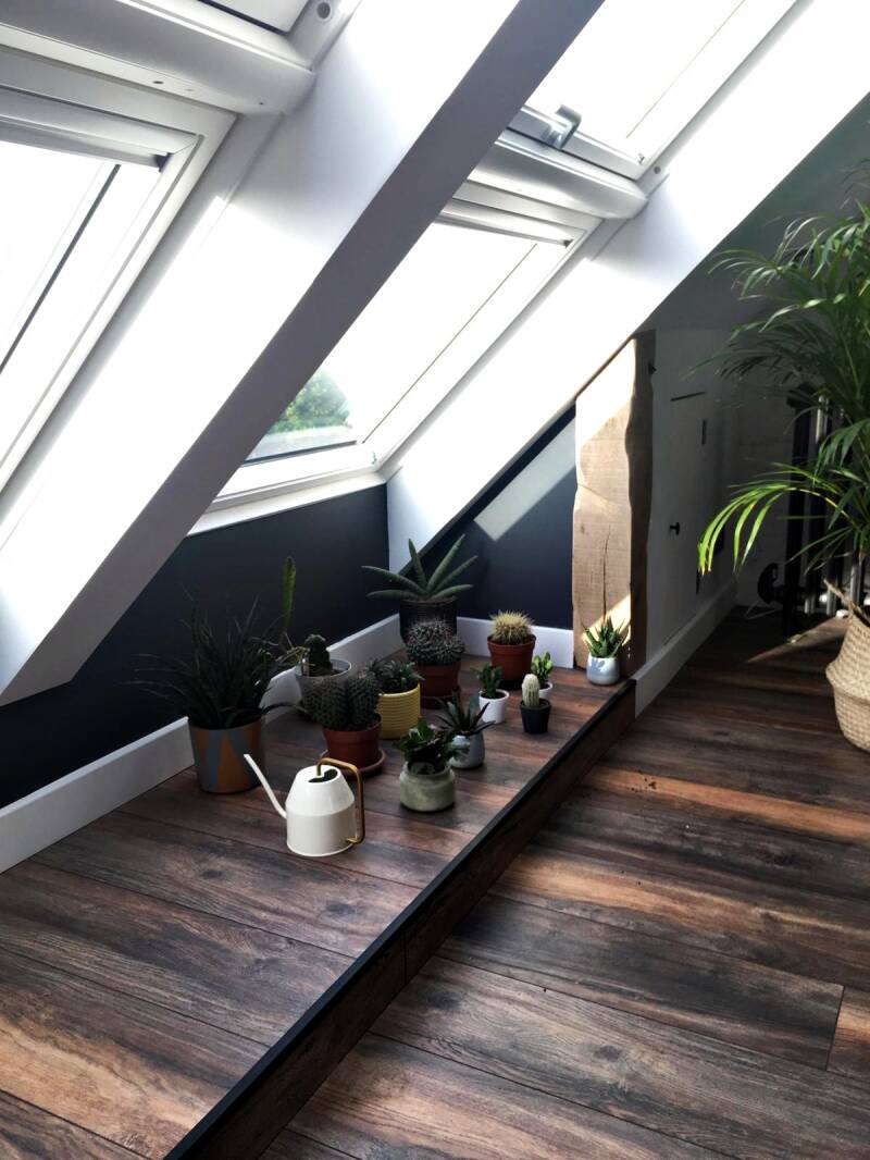 windows-longfield-loft4-standard-ylt42f.jpg