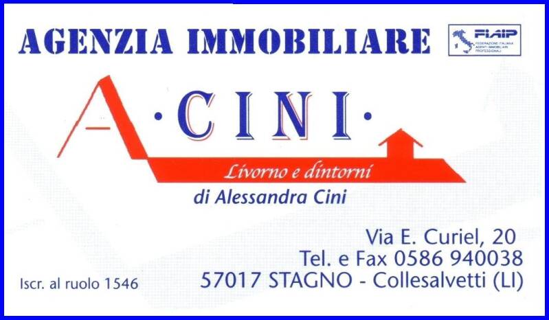 cini-standard.jpg