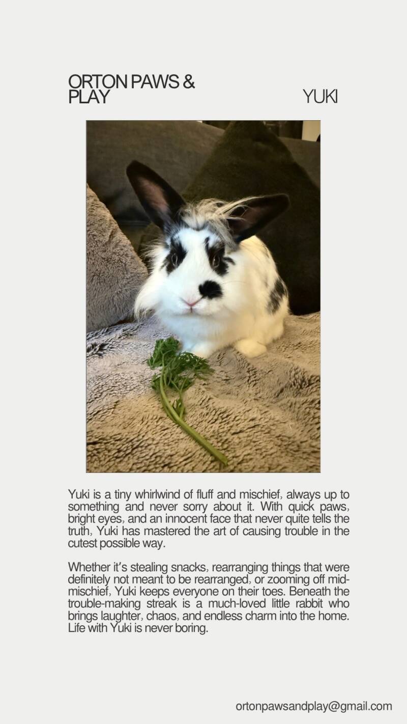 yuki-standard.jpg