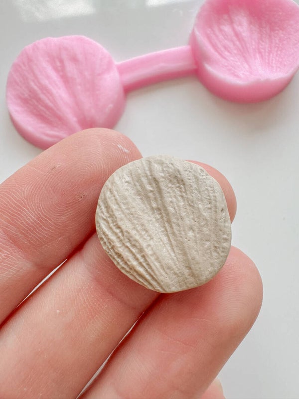 mold 13