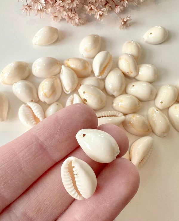 Schelpen bedels