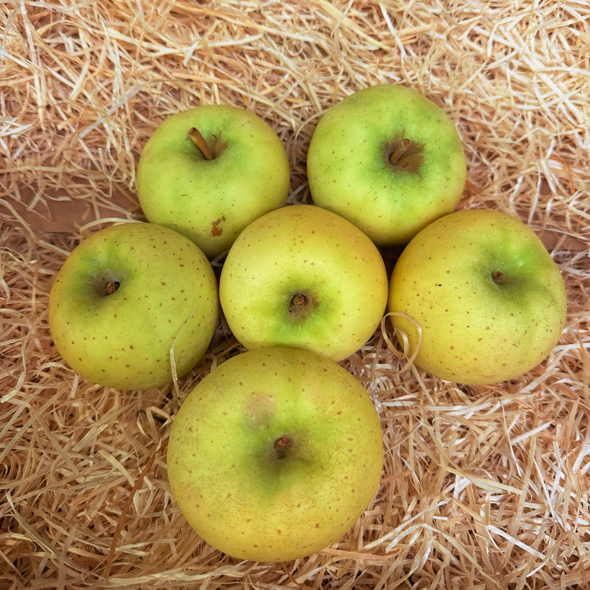 Pommes | La Diligence Du Producteur