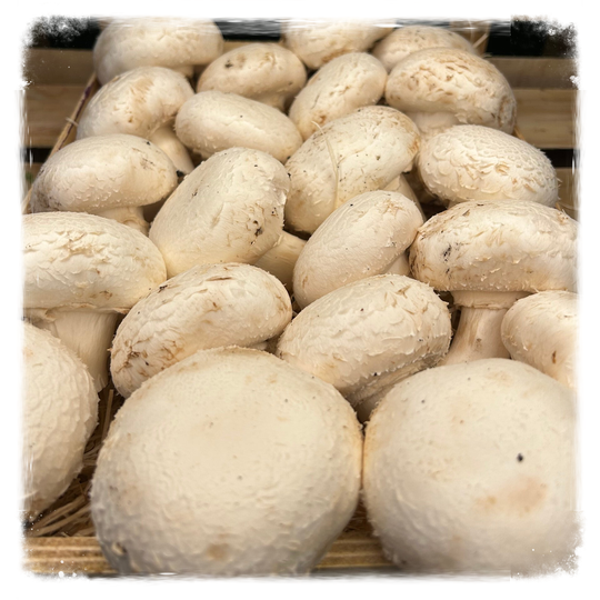 Champignons de paris