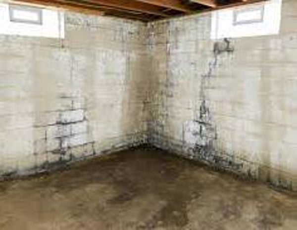 Guide to fixing a damp basement