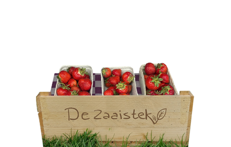 FRUITPAKKET