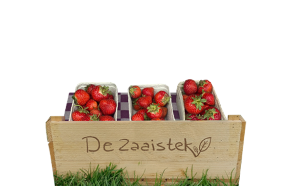 FRUITPAKKET