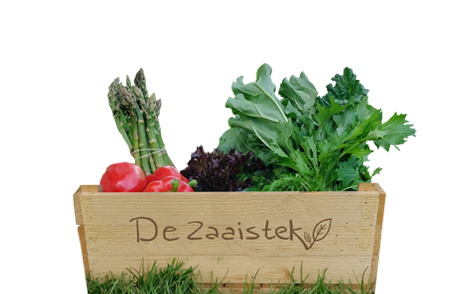 GROENTEPAKKET - groot