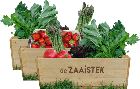 ABONNEMENT GROENTEPAKKET