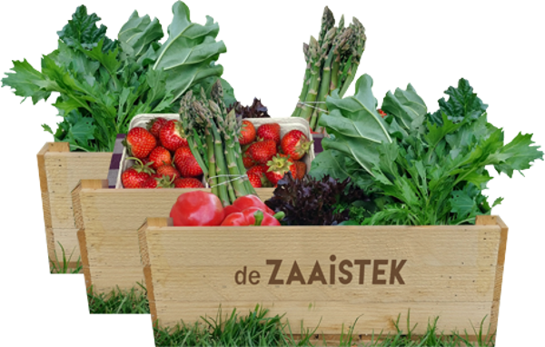 ABONNEMENT GROENTEPAKKET