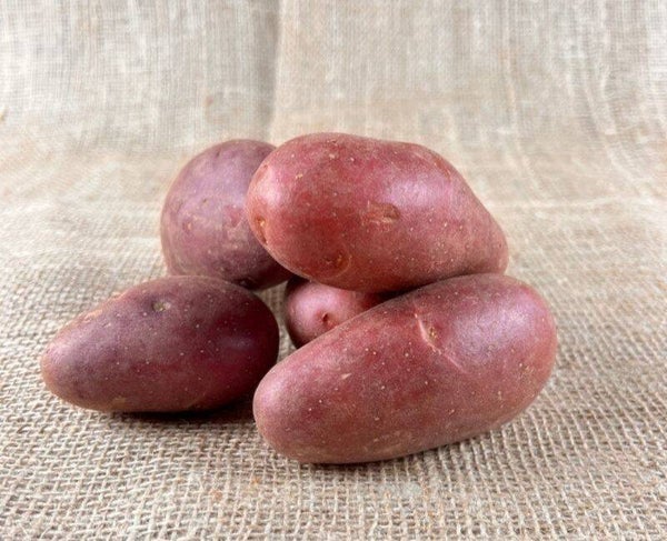 ROSEVAL AARDAPPELEN MIX SORTERING