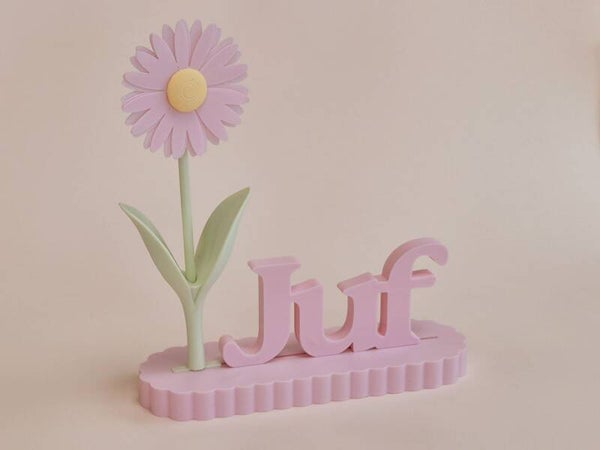 Staander Juf candy