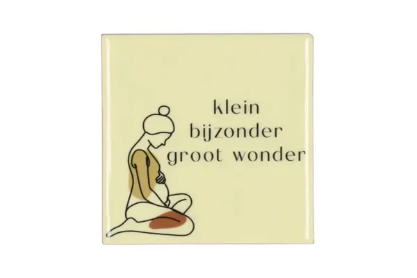 Klein bijzonder groot wonder
