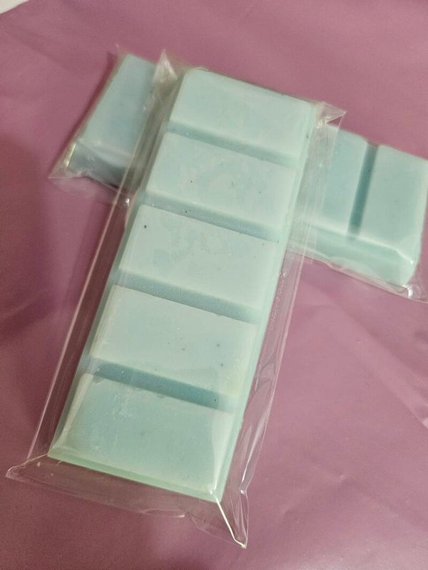 Wax melt bars lenny frosted eucalyptus
