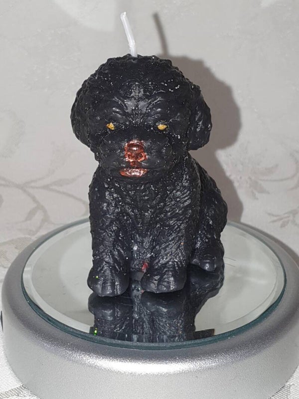 Hond Doodle