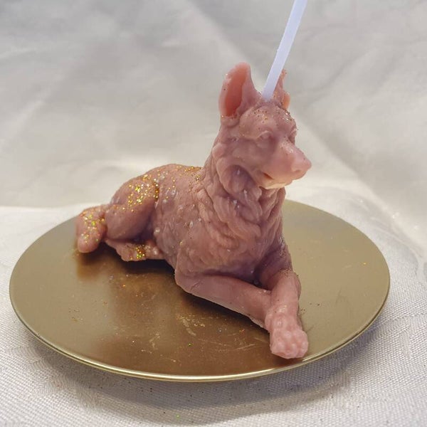 Hond Herdershond