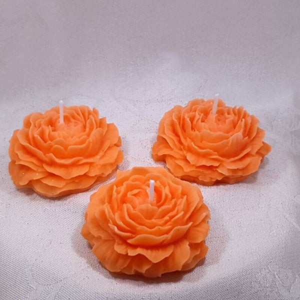 Oranje WK selectie