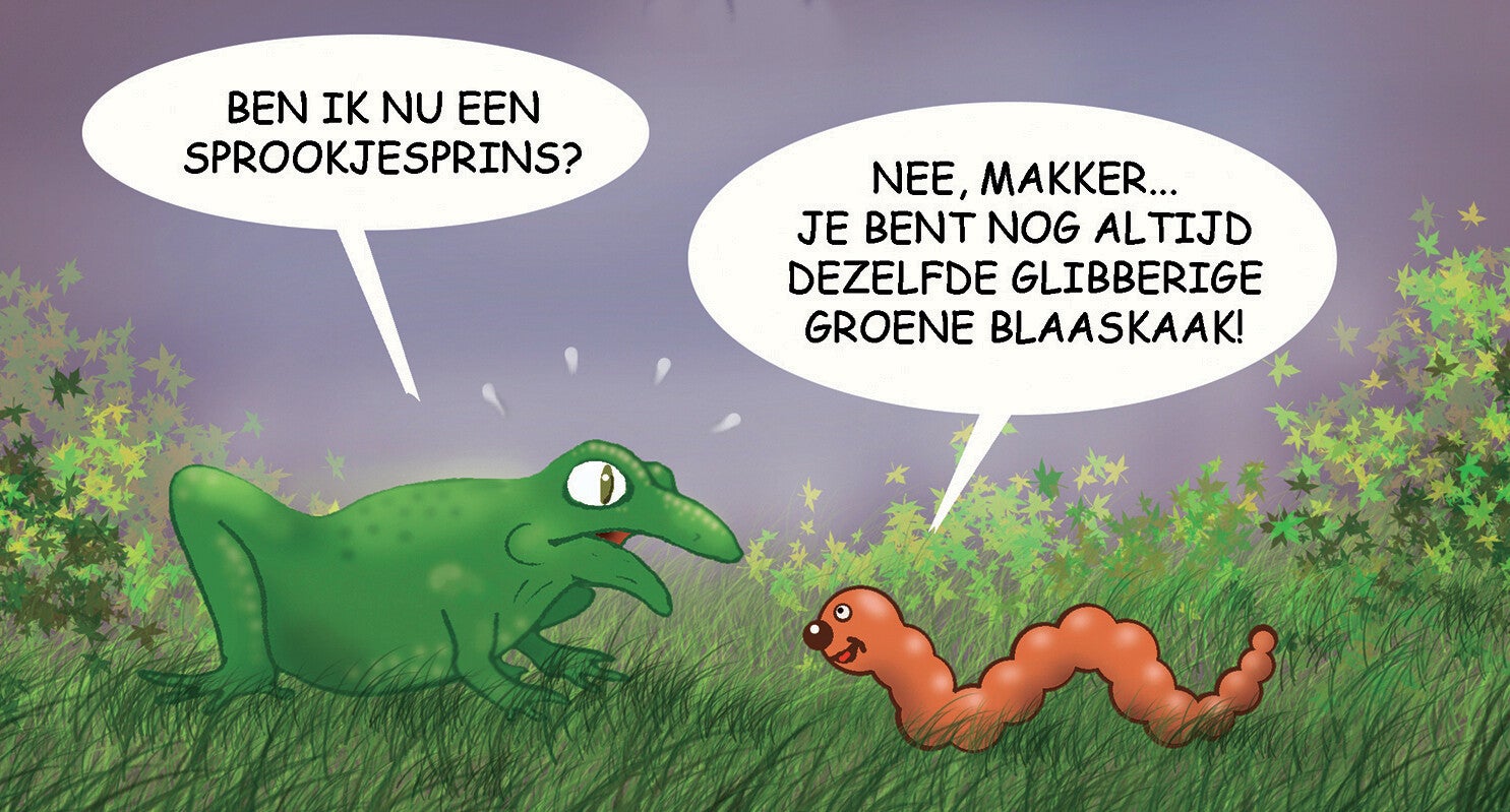 Babydoll strip - Kikkerprins - 9