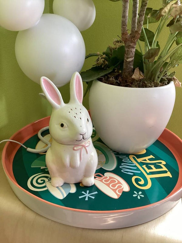 Brûleur lapin