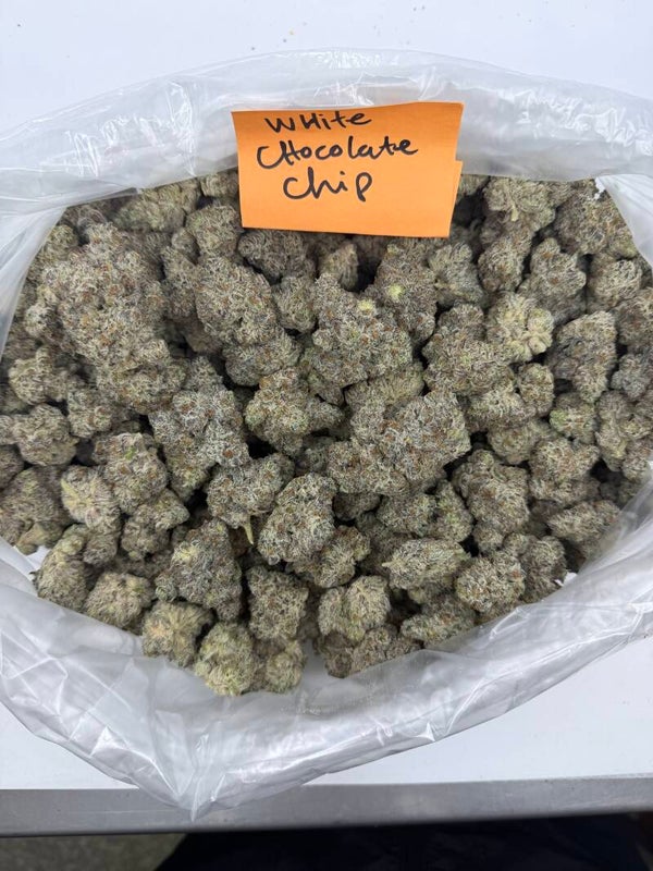 WHITE CHOCOLATE