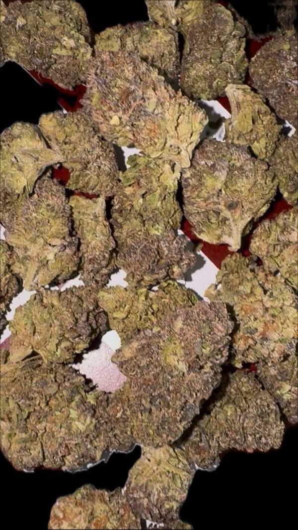Purple kush