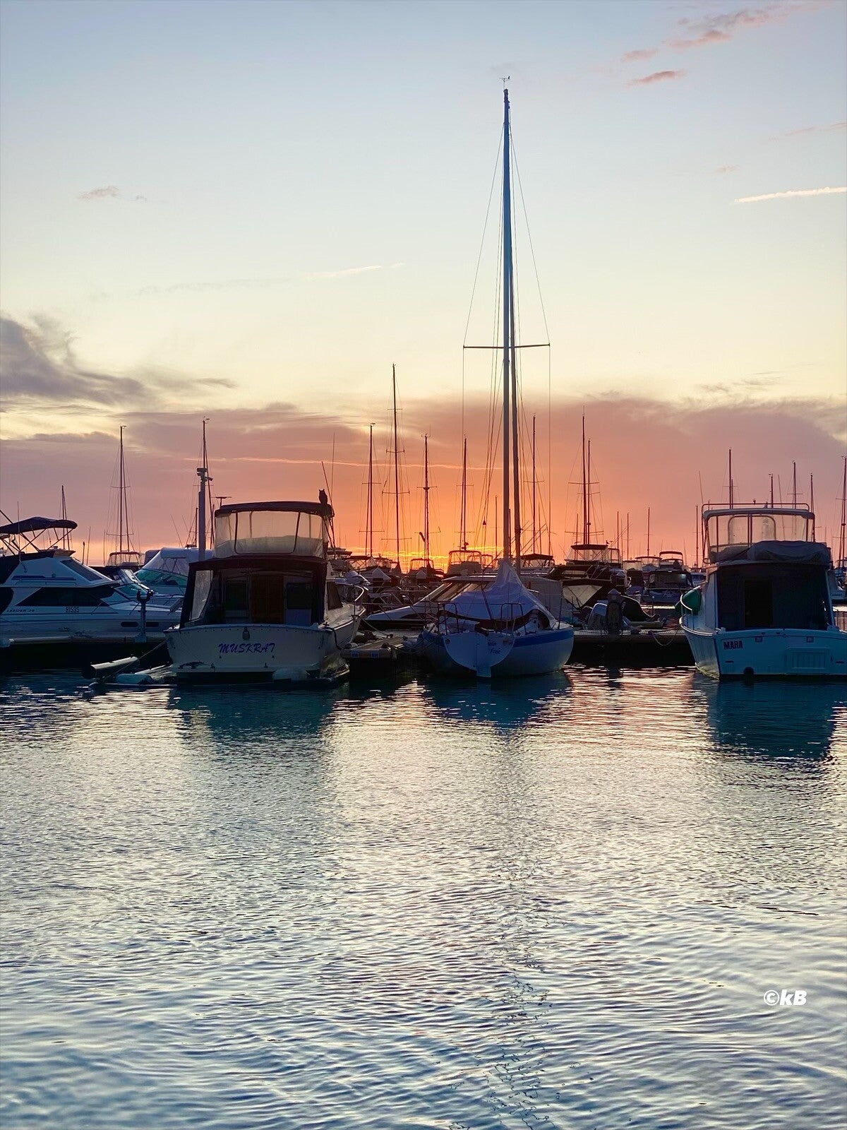 Scenic Harbour